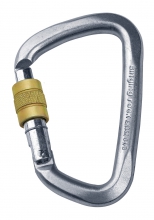 D Steel Screw