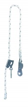 Reglex 3000