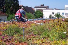 Optisafe ALS | Pfosten