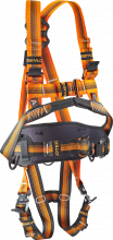 Falc