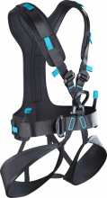 Radialis Pro