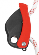 Lory Multi