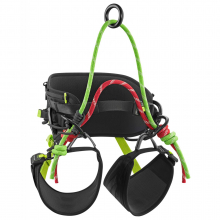 TreeRex Triple Lock