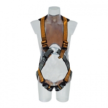 ARG 31 Skyfizz Lifter Click