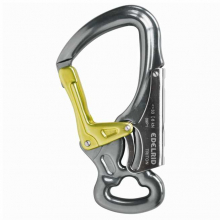 DSG Triton