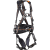 Ignite Proton Steel