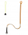 Cambiumsaver Bicolor