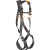 Ignite ION