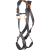 Ignite ION