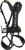 Radialis Pro