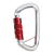 D Shape