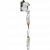 SKR-2
