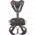 Gryphon