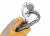 Coeur Bolt Stainless