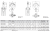 PSA VRS/INOX Ringschraube