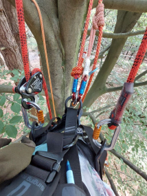 Falk-Christian Rybak